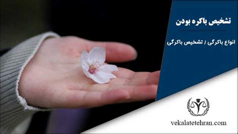 سپس دختر باکره 2024 .